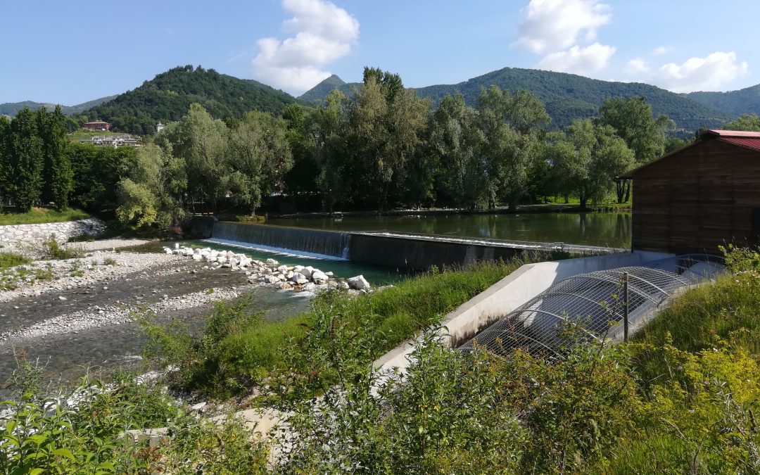 Deflusso Minimo Vitale